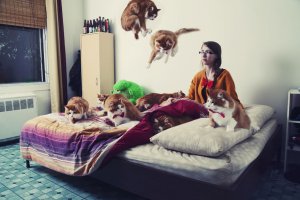 База любителей кошек и собак Москва